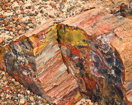 Therapeutic and Environmental Cairo - Image 4