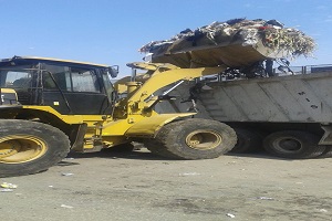 نظافة منطقة التكاسي