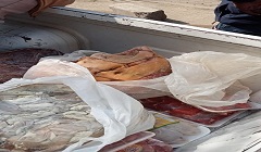 حملة مكبرة للمرور على الأسواق بنطاق الحي