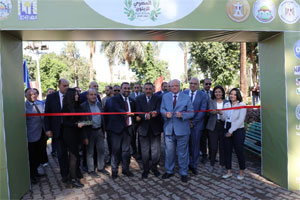 محافظ القاهرة يفتتح النسخة الثانية من المهرجان المصري للزيتون