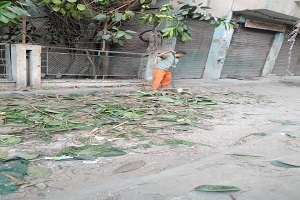 المتابعة اليومية بنظافة الحي 