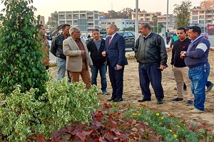 زراعة الاشجار بالجزيرة الوسطى بالحي