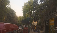 حملة لرفع الاشغالات في شارع ٩ والإدارة التعليمية بالحي