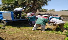 رفع كفاءة النظافة والتجميل والإنارة بحي المقطم والنزهة ومصر القديمه