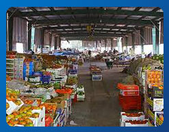 مشروع الجهاز التنفيذي لسوق العبور                  