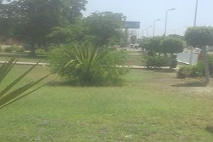 إعادة تأهيل وتشجير مسطح اخضر بالحي