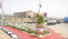 رفع مستوى الزروعات والأشجار بكافة الأحواض التجميلية بحي المقطم والاسمرات