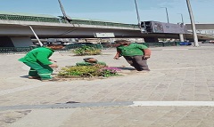 رفع كفاءة أحواض المزروعات بمحيط النصب التذكاري 