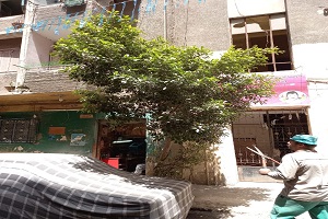 استعادة المظهر الحضاري لشوارع الحي