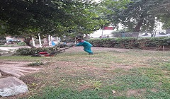 تسييف المسطحات الخضراء بالزمالك