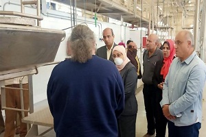 بتكلفة 400 مليون جنيه الانتهاء من إجراءات تشغيل مجزر 15 مايو الآلي