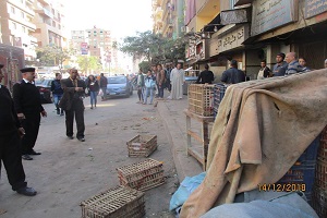 حملات للنظافة ورفع الإشغالات بشوارع دار السلام