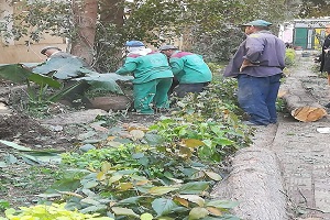 متابعة اعمال تقليم الاشجاربالحي