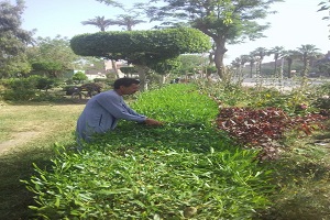 حي التبين يشن حملة نظافة وتجريد بالشوارع