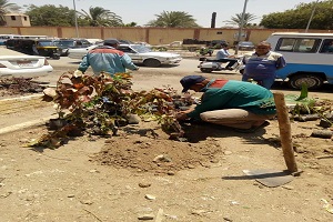 رفع كفاءة الشوارع والميادين بالحي 