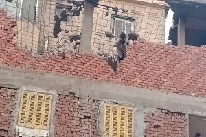 التصدي لظاهرة البناء المخالف 