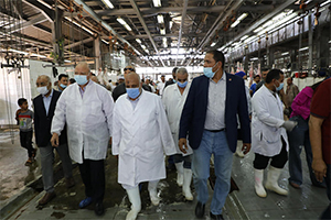 محافظ القاهرة يتفقد مجزر البساتين الالي لمتابعة إستعدادات عيد الأضحى