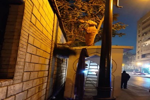 أعمال نظافة بجاردن سيتي