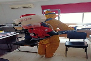 شجره في كل ممر بين عمارات مساكن الاسمرات بحي المقطم