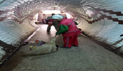 تكثيف الجهود لرفع كفاءة النظافة بنطاق الحي