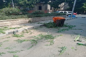 أعمال نظافة بجاردن سيتي