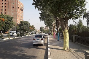 رفع مخلفات الطريق بمنطقة المعصره جنوب القاهرة