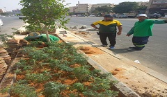 زراعة أحواض تجميلية ببعض شوارع حي المقطم