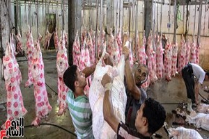 حملة مكبرة على المخابز ومنافذ بيع اللحوم داخل أسواق مجاورات الحي