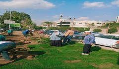 فرش النجيلة بطول شارعي الخمسين والنادي بحي البساتين