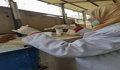 تشكيل لجنة التجريع الدورية لفحص حيوانات المزرعة بجامعة الأزهر