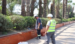 رفع كفاءة جميع الأحواض التجميليه بكافة قطاعات الكورنيش