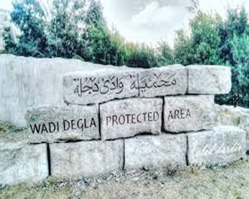 Therapeutic and Environmental Cairo - Image 3