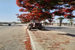 حملات لتوفير بيئة نظيفة بشوارع الحي