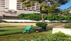 أعمال قص وتسييف بحديقة نفق كمال صلاح الدين