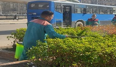 رفع كفاءة أحواض المزروعات بقصر النيل