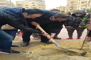 حملات مروريه يوميه بحي المقطم