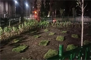 ترميم ورصف محيط مسجد الرفاعي بالخليفة