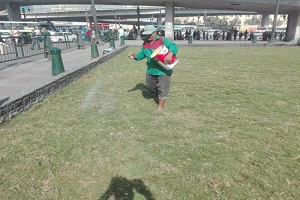 تسميد وصيانة المسطحات الخضراء بميدان رمسيس