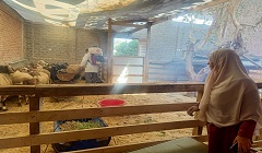 مديرية الطب البيطري تجري تحصينات للماشية للوقاية من الطفيليات بمنطقة حلوان