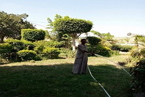 حملات نظافة وتجريد بعض شوارع الحي