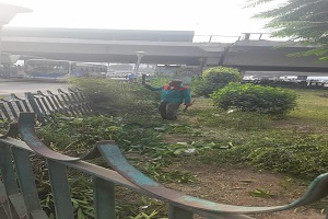 أعمال تجميلية بحديقة الكورنيش