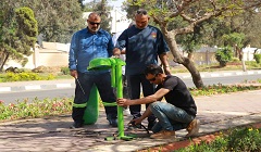 رفع كفاءة المزروعات بشارع احسان عبد القدوس