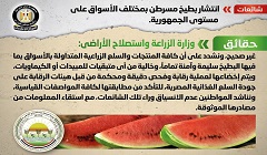 حقيقية انتشار بطيخ مسرطن بمختلف الأسواق على مستوى الجمهورية