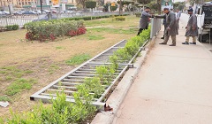 تصنيع وتركيب أسوار للجزيرة الوسطى أمام جامعة عين شمس