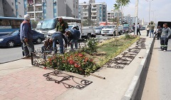 تجميل الجزيرة الوسطى بشارع الميثاق