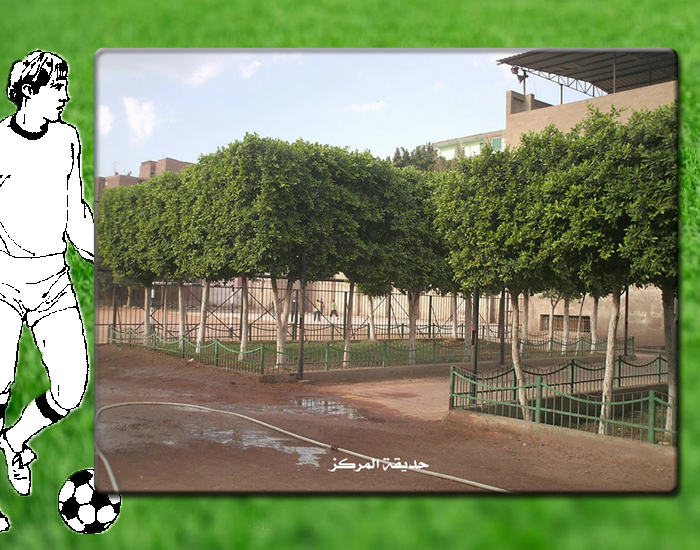 معرض صور مركز شباب عرب الحصن - Image 2