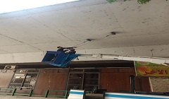 نظافة أسفل كوبري مايو