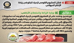 ​ حقيقة فشل المشروع القومي لإحياء البتلو