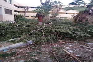 رفع كفاءة شوارع الحي 