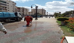 حملة نظافة بحي مصر القديمة